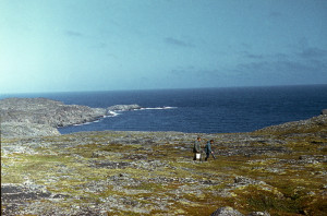Barenz_sea_32