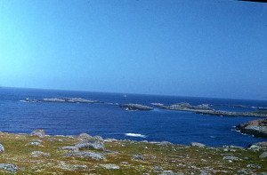 Barenze_sea_15